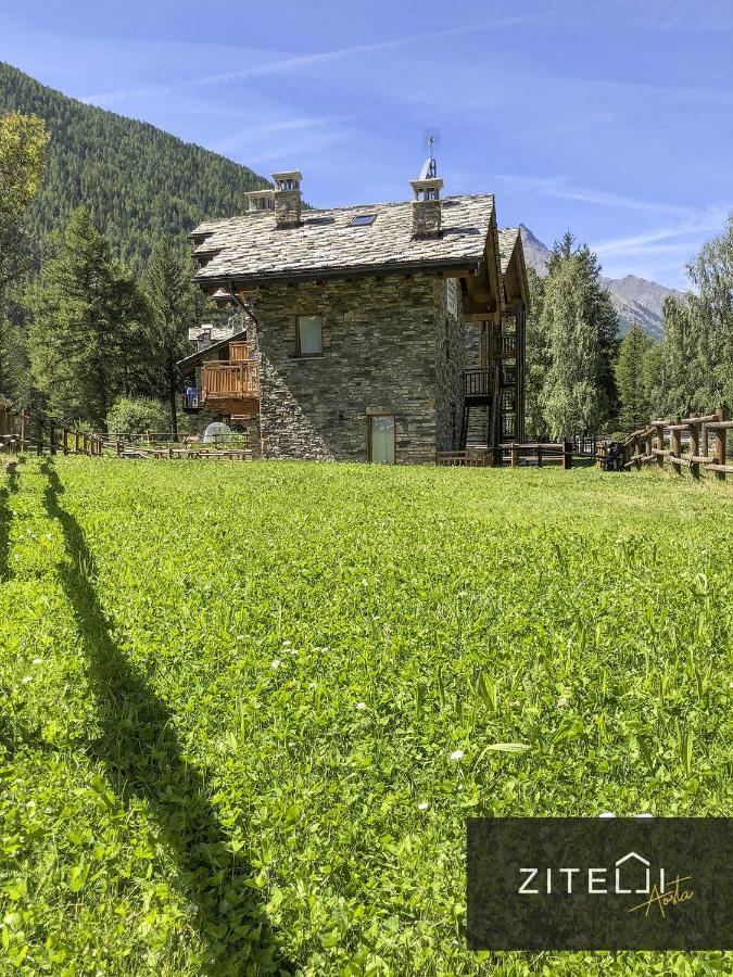 Villa Zitelli Aosta Cogne Exterior foto